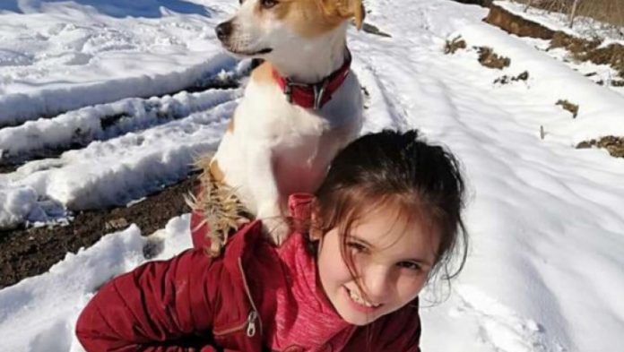 foto fetita cu caine in spate