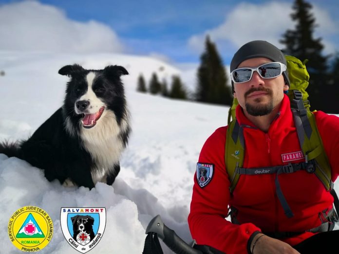foto cainele de avalansa carp salvamont prahova