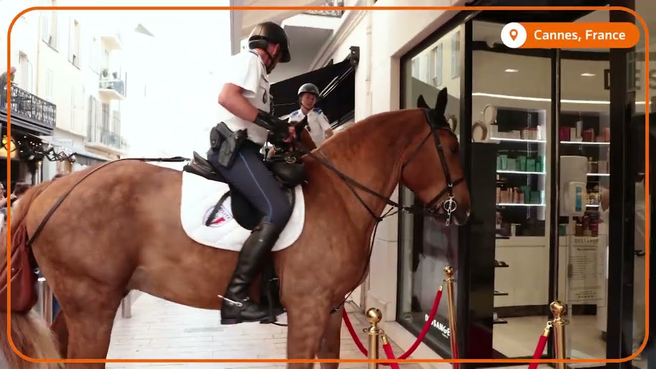 VIDEO INEDIT Doi cai vedete la Festivalul de la Cannes