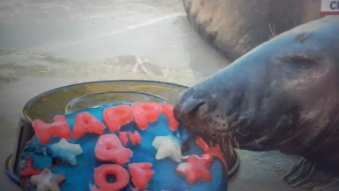 foto zoo ziua sua