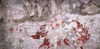 Vezi cum arată cea mai veche pictură din lume. Are peste 51.000 de ani şi se află în Indonezia