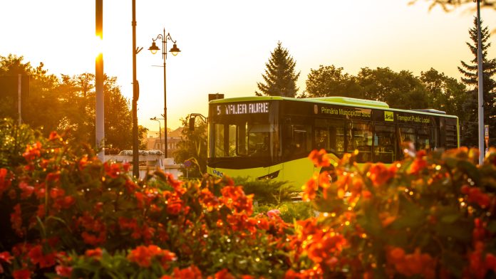 foto autobuz valea aurie