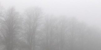 Vizibilitate redusa din cauza cetii in judetele Constanta, Covasna, Harghita si Tulcea