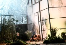 Ierbar sau poezie? Cum ne colecționăm esența?