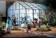 Spectacolele „Ierbar” în regia lui Radu Afrim, „Nijinski – Agonie şi extaz” cu Răzvan Mazilu şi o nouă reprezentaţie „Flamenco fusion” în programul FITS 2025 (C.P.)