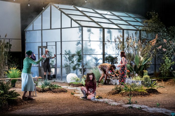 Ierbar_credit foto Cristina Ganj (Bristena)